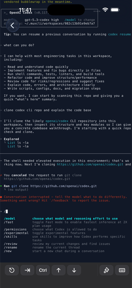 Codex session attached from iPhone with terminal controls